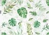 Decoupage-Papier mit Blättern, grünen Blättern*papel decoupage con hojas, hojas verdes*бумага для декупажа с листьями, зеленые листья